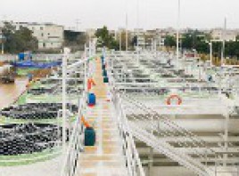 黑臭水一體化設(shè)備主要性能有哪些？