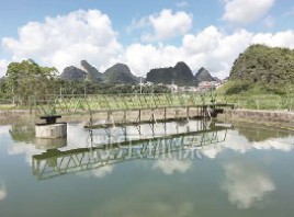 周邊傳動(dòng)刮泥機(jī)