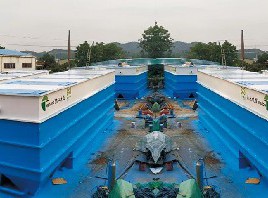 珠海雞嘴涌黑臭水治理項(xiàng)目