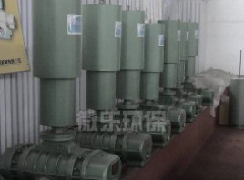 三葉羅茨鼓風(fēng)機(jī)