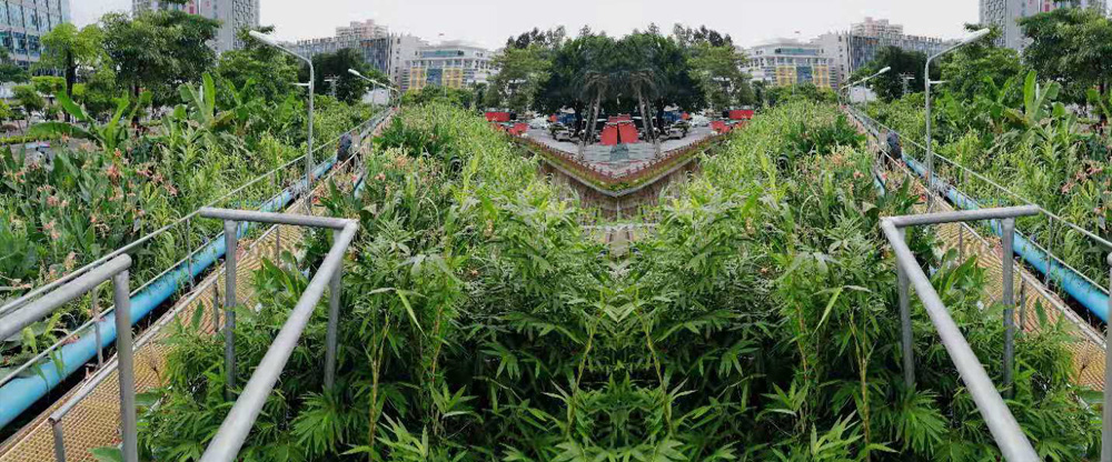 亮科環(huán)境塘廈地埋一體化